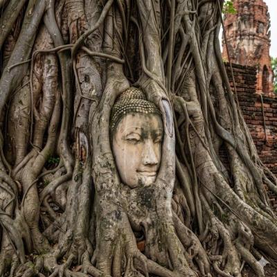 Thailand Tour Agency